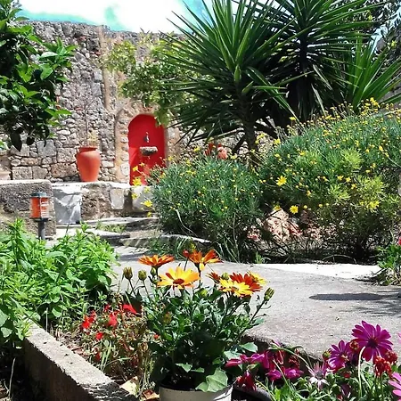 度假居 Serene House,Beautiful Garden In Old Town *