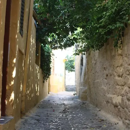 度假居 Serene House,Beautiful Garden In Old Town