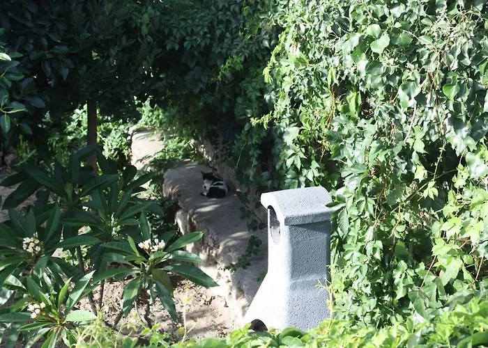 بيت للعطل Serene House,beautiful Garden In Old Town